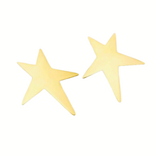Cargar imagen en el visor de la galería, ROCK-STAR EARRINGS
