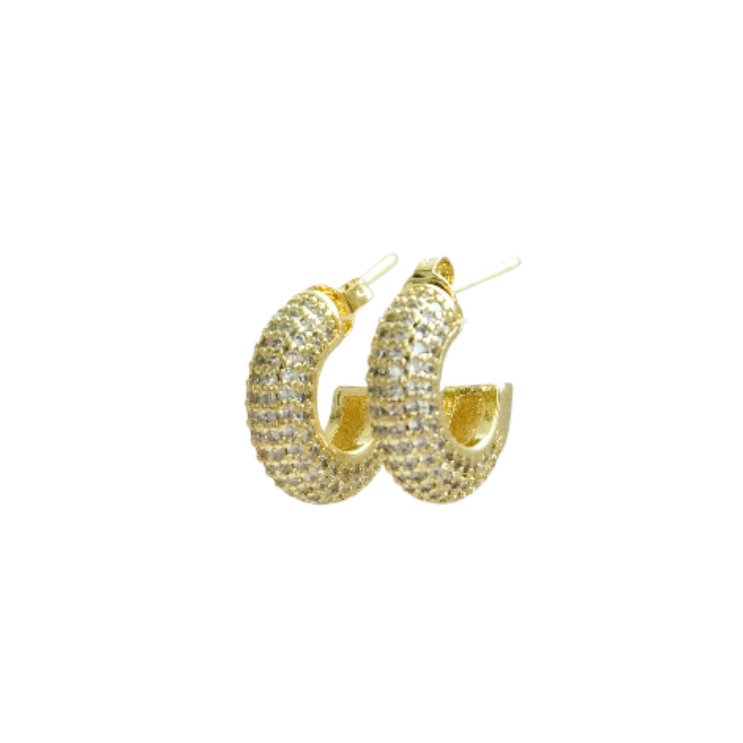 LEO HOOPS